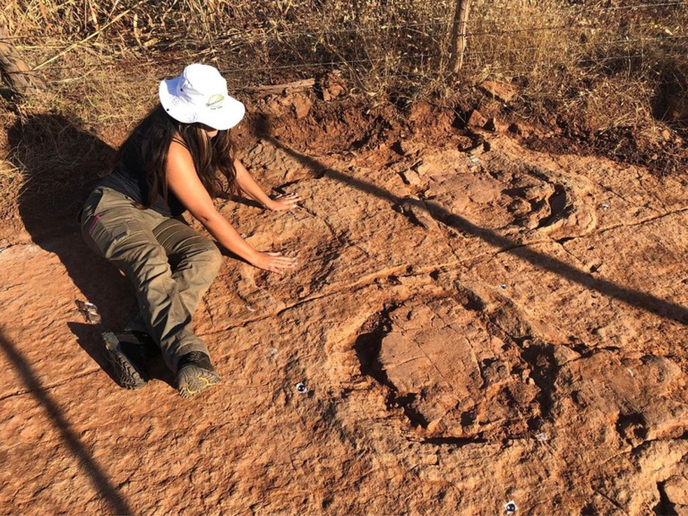 Novo conjunto de pegadas foi descoberto no município de São João do Rio do Peixe, no interior da Paraíba. — Foto: Aline Ghilardi e Tito Aureliano/Divulgação