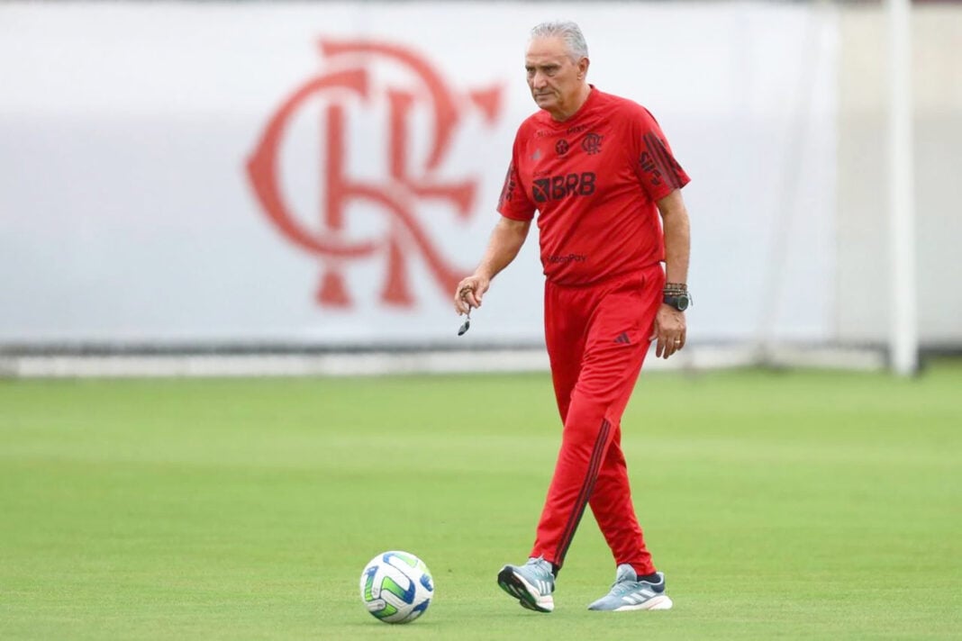 O técnico Tite assumiu a equipe carioca - Foto: MARCELO CORTES