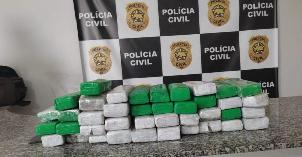 Droga estava em duas bolsas da suspeita, presa em flagrante pela Polícia Civil — Foto: Divulgação/Polícia Civil