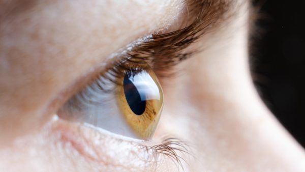 O transplante de córnea consiste na troca da córnea doente por outra sadia e transparente — Foto: Getty Images