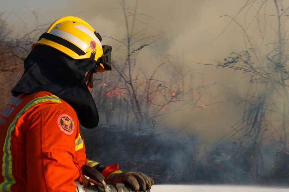 Bombeiros combatem incêndio em área de mata de Apodi, RN — Foto: Corpo de Bombeiros/Divulgação