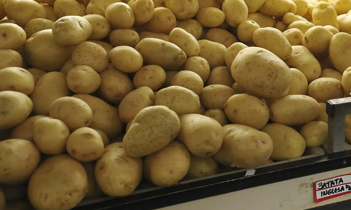 Alimentos verduras legumes