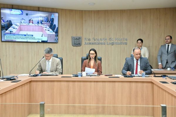 O PL tem como objetivo desburocratizar e acelerar o processo de funcionamento pleno de uma empresa. Foto: João Gilberto/ALRN